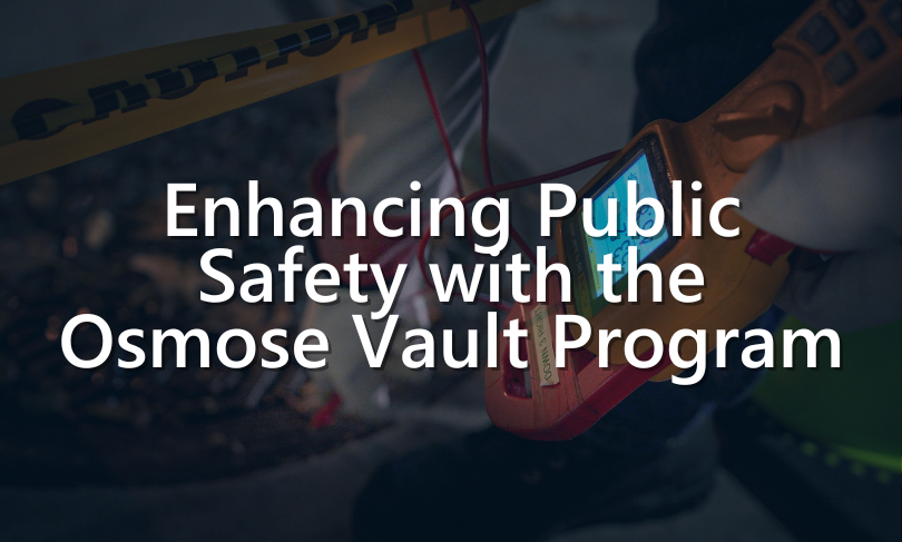 vault program case study